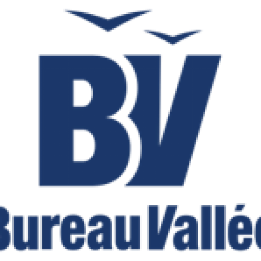 Franquicia Bureau Vallée